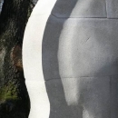 cello3
