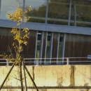 dojo4