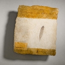 dtarchaeopteryx2