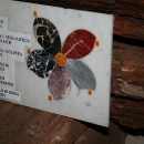 dtmarmorsaal1-5