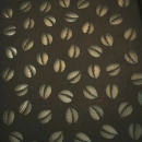 anz_hazem-shoukry12-1-10