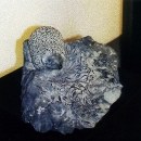 kriviere2