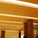 pierre_de_france4