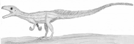 Rekonstruktion eines Jungtieres von „Sciurumimus albersdoerferi“. Bild: Oliver Rauhut