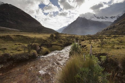 Motor der Artenvielfalt: Gebirgslandschaft in den Peruanischen Anden. Foto: Bas Wallet
