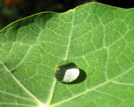 Nanotecnologia: la superficie nel centro. Foto: Wikimedia Commons