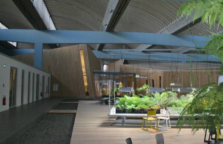 Im Inneren der ehemaligen Blumenhalle.