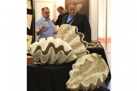 Naturstein in seiner ganzen Vielfalt präsentiert die Stone+tec 2015, die vom 13.-16. Mai 2015 im Messezentrum Nürnberg stattfindet.