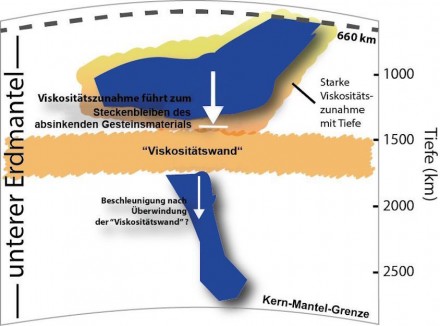 Die Grafik zeigt, wie sich Gesteinsmaterial oberhalb der hochviskosen Schicht anstaut. Falls es aber diese „Wand“ durchdrungen hat, dürfte sich sein Absinken in die Tiefe beschleunigen. Grafik: Dr. Hauke Marquardt, Bayerisches Geoinstitut, Universität Bayreuth