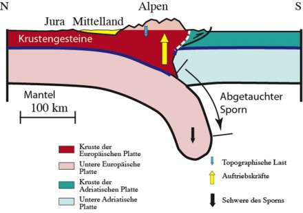 Schematischer Querschnitt durch die Alpen: Der gelb eingefärbte Trog unter dem Mittelland entsteht hauptsächlich infolge der Schwere des Sporns der Kontinentalplatte. Durch dieses Gewicht wird die Europäische Platte nach unten gebogen. Grafik: Nature Communications