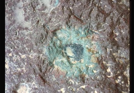 In the image, the black Öst 65 meteorite is preserved in stone from the quarry. Photo: Qing-zhu Yin, UC Davis