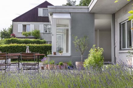 Baerlocher17_Futurafrosch9