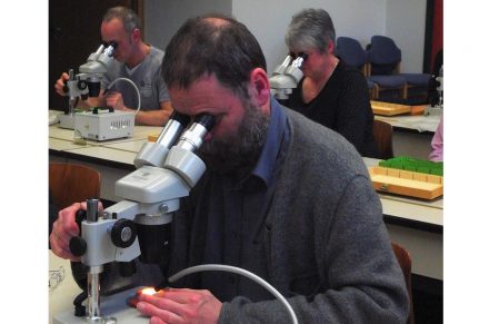 Gesteinsbestimmung mit dem Mikroskop war eines der Themen im Kurs.