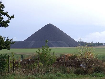 Zeugnis des Abbaus von Kupferschiefers im Mansfelder Land: Halde des Ernst-Thälmann-Schachtes bei Siersleben. Foto: Mario Schmalfuß / Wikimedia Commons