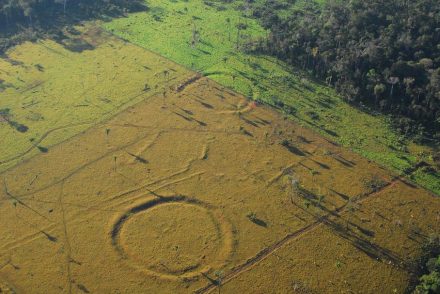 Geoglyphen im tropischen Regenwald in Brasiliens Bundesstaat Acre