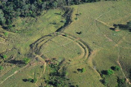 Geoglyphen im Amazonas-Regenwald, die durch Abholzung sichtbar geworden sind. Foto: Jennifer Watling