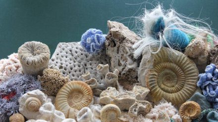 Das Korallenriff in der Ausstellung „Als die Steine noch lebten. 150 Millionen Jahre Albgeschichte“.