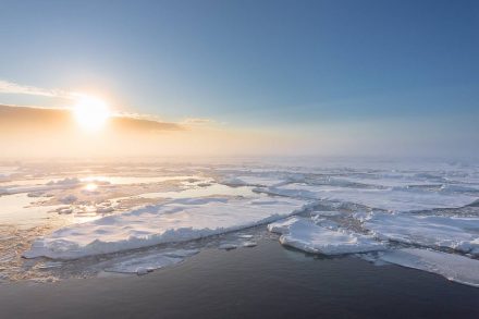 Das Nordpolarmeer heute: Blick auf Treib- und Packeis von Bord des deutschen Forschungsschiffes Polarstern, auf dem Weg zum Nordpol. Foto: Stefan Hendricks / AWI