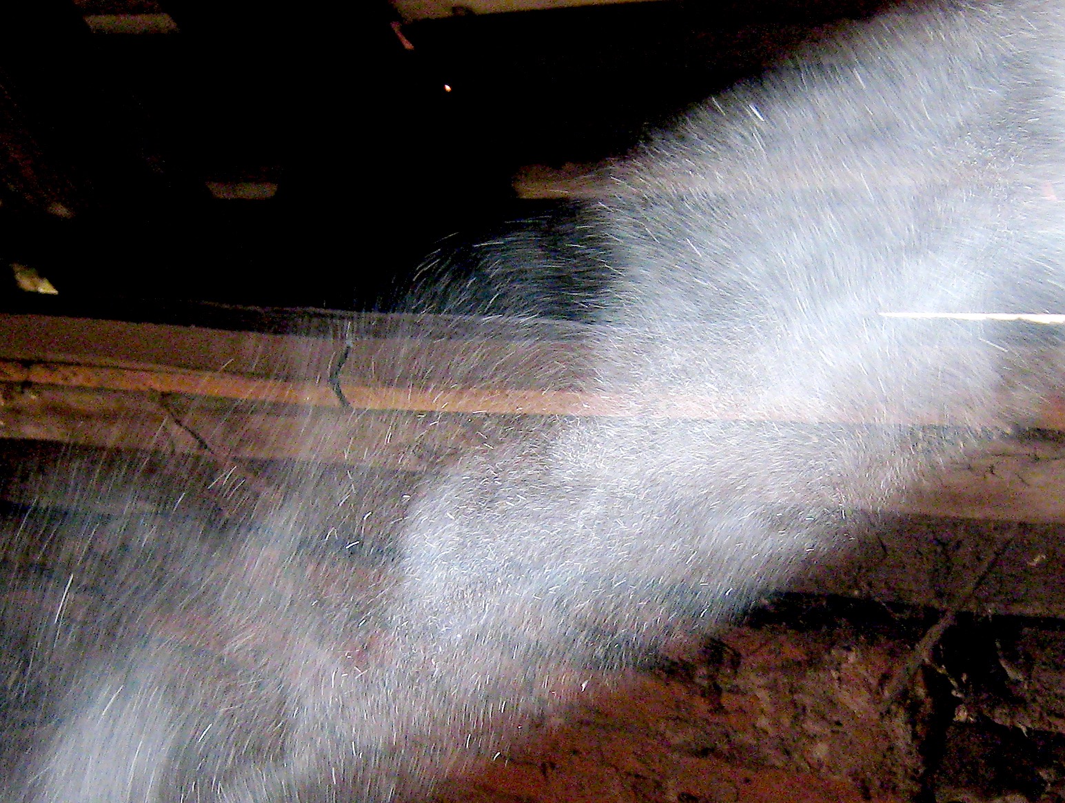 Silica Exposure Control Plan Released by the Natural Stone Institute