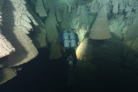 The Hells Bells in the El Zapote cave near Puerto Morelos on the Yucatán Peninsula.