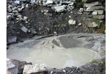 Tiere und Pflanzen nutzen im Steinbruch jene Bereiche, die für den Betrieb nicht wichtig sind.