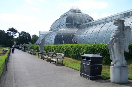 Copies of the Queen’s Beasts in front of the Palm House at Kew Gardens.