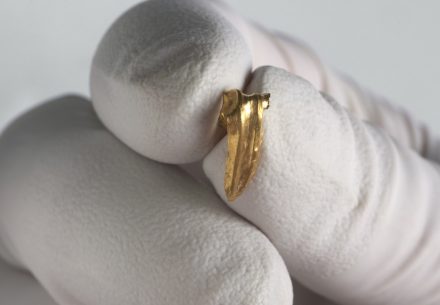 Gold fragment.