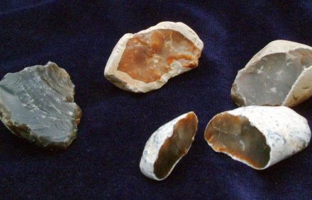 Der Feuerstein (Flint) spielte für die Menschen der Steinzeit eine wichtige Rolle, um daraus zum Beispiel Klingen abzuschlagen. Foto: de:user:Anton / Wikimedia Commons