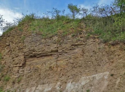 Das Mineral Dolomit macht 90% des Karbonatgesteins mit gleichem Namen aus. Das Bild zeigt eine Felswand im Freigerichter Zechsteindolomit. Foto: Eike Hintz / Wikimedia Commons