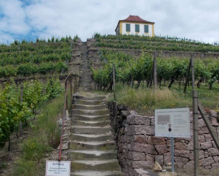 Der Weinberg „Schlossberg“ in Seußlitz in der Gemeinde Nünchritz mit der Luisenburg, einem Weinberghaus aus dem 18. Jahrhundert. Foto: Jwaller / Wikimedia Commons