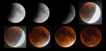 The phases of this total lunar eclipse. Source: Deutsches Museum, München