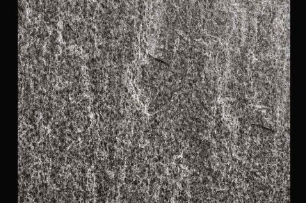 Calanca Gneiss