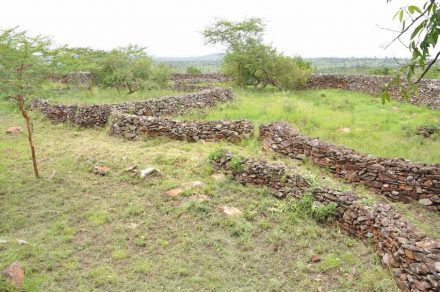 Corridors used to guide animals and cattle enclosures. Photo: Ephraim Mwangi / National Museums of Kenya
