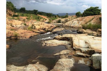 Sandspruit River, southern area. Photo: Dion Brandt