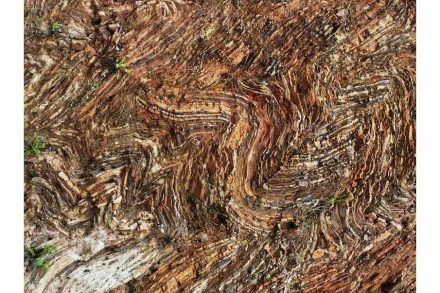 Banded Ironstone. Photo: Dion Brandt