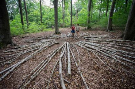 Internationaler Waldkunstpfad 2018, Bianca Bischer & Stefanie Welk: „Wald Weites Web“.