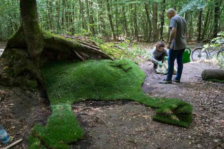 Internationaler Waldkunstpfad 2018, Emanuelle Camacci & Fulvio D’Orazio: „Green Benches“.