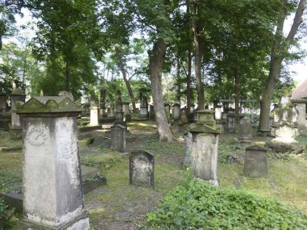 Der Eliasfriedhof in Dresden. Foto: Schalinski/DSD