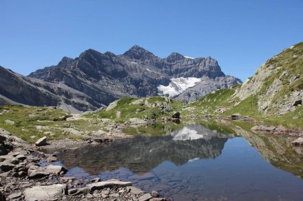 Berglandschaft im Schweizer Wallis: Vielfältige Bodentypen sorgen hier, wie auch in anderen Gebirgen weltweit, für einen vergleichsweise großen Artenreichtum an Wirbeltieren. Foto: Susanne Fritz