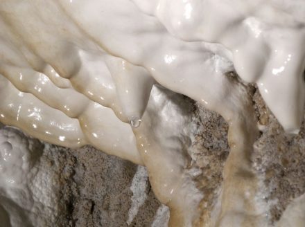 Aragonit-Vorkommen in der Obstanser Eishöhle in Tirol: Die Oberfläche der weißen Schicht an der Höhlenwand ist mit dem neu entdeckten mAra, der Vorstufe des Aragonits, bedeckt. Foto: Christoph Spötl