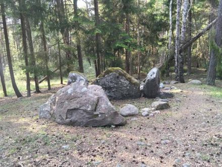 The Ansarve site on the island of Gotland in the Baltic Sea is embedded in an area with mostly hunter-gathers at the time. Photo: Magdalena Fraser