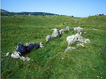 A likely parent-offspring relation was discovered for individuals in the Listhogil Tomb at the Carrowmore site and Tomb 1 at Primrose Grange, about 2 km distance away from each other. Photo: Göran Burenhult