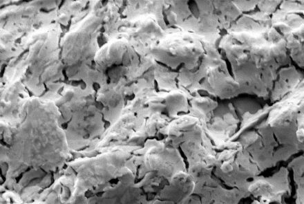 Mikrostruktur einer Albit-Probe nach der Kompression auf 44 Gigapascal (GPa) mit einer Rate von 0,1 GPa pro Sekunde. Die Bildweite beträgt ungefähr 0,007 Millimeter. Bild: Stony Brook University, Lars Ehm