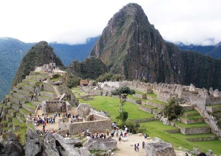 There is a wide variety of biocolonizer species that are putting the conservation of the granite at Machu Picchu at risk. Photo: Héctor Morillas / UPV/EHU