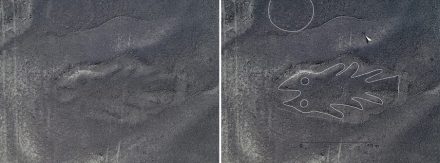 Fisch: Rechts: Bild nach Bearbeitung.