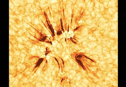 In der Chromosphäre der Sonne zeigen sich die Spikulen als langgezogene, fingerartige Strukturen. Sie sind typischerweise 5000 km lang und nur etwa 200 km breit. Quelle: Samanta et al., BBSO/GST and NASA/SDO