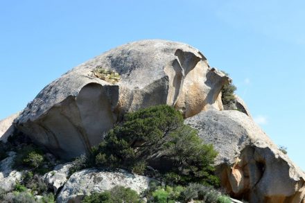 Tafoni Felsen im Norden Sardiniens. Foto: GeoPark Nordisches Steinreich