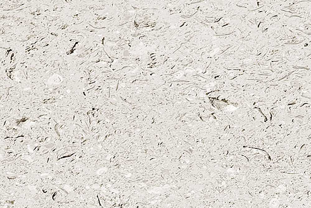 PORTLAND FANCY BEACH WHITBED, a variety of the famous limestone from England, quarried by Albion Stone