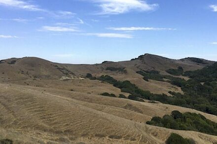 A dryland ecosystem in Northern California shows decreasing soil moisture but little changes in surface water availability. Photo: Columbia Engineering