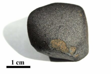 The Flensburg meteorite with black fusion crust. The small fragment, weighing 24,5 grams, is about 4.5 billion years old. Source: A. Bischoff / M. Patzek, University of Münster